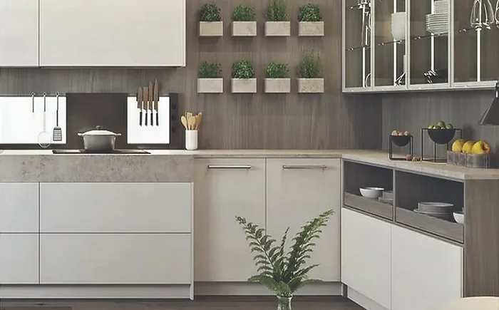 Cocina Auriga