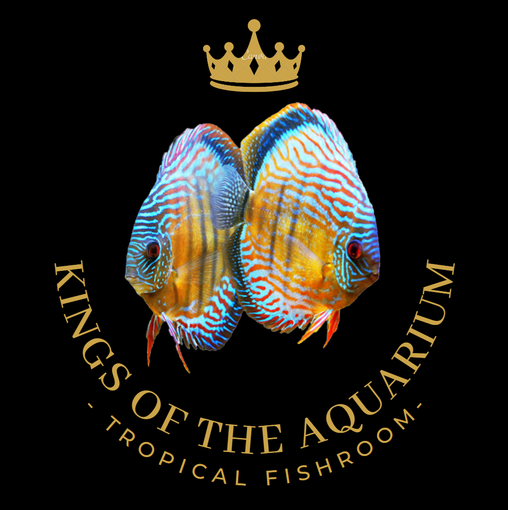 KINGS OF THE AQUARIUM logo
