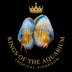 Kings Of The Aquarium