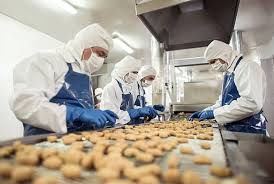 Food & Packaging