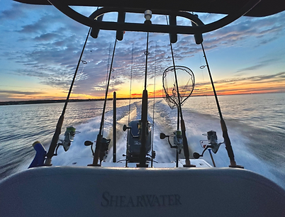 Sunset cruise photo from Blue Line Charters.