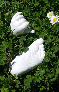 20190601_104737.jpg