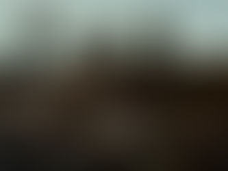 Snake Oil Cinema: Civil War and Eddington