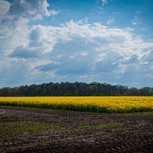 DSC_5014.jpg