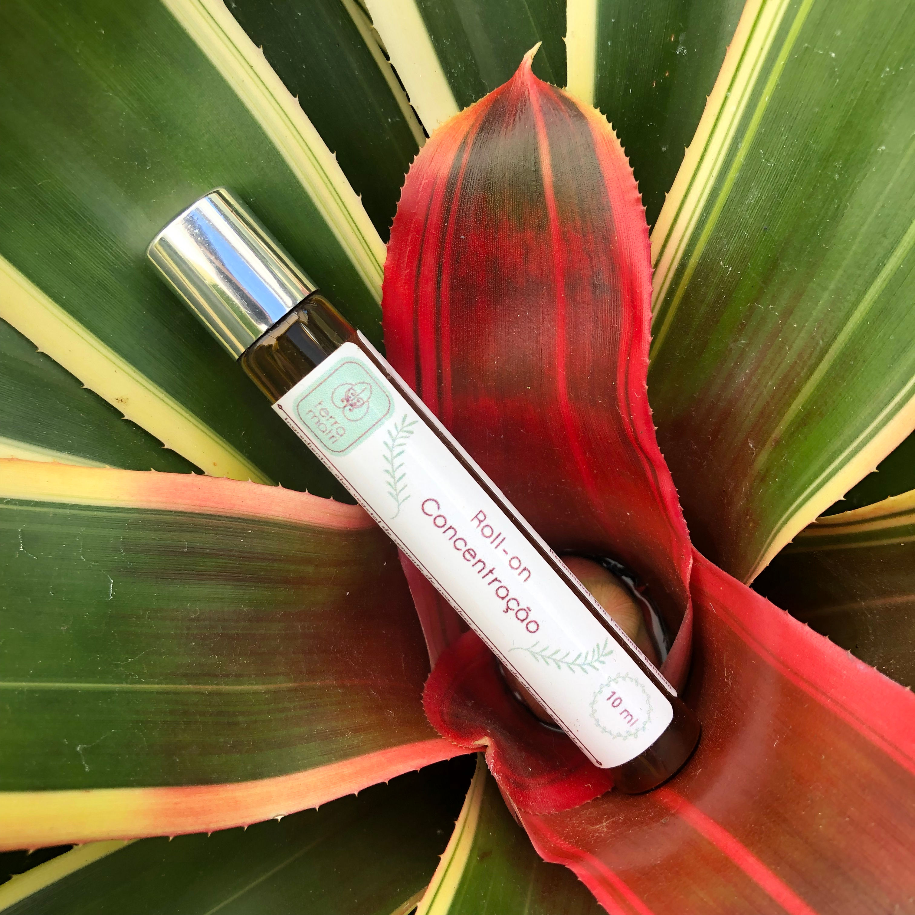 Roll-on Concentração