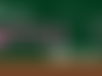 模試受験受付のお知らせ