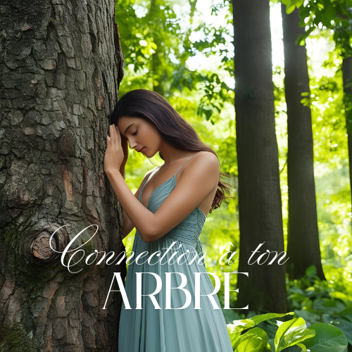 se connecter à son arbre, énergétique, soin, méditation, gaia 
