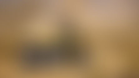 Ruta motera desde Barcelona: Costas, curvas de montaña y almuerzo con Vistas