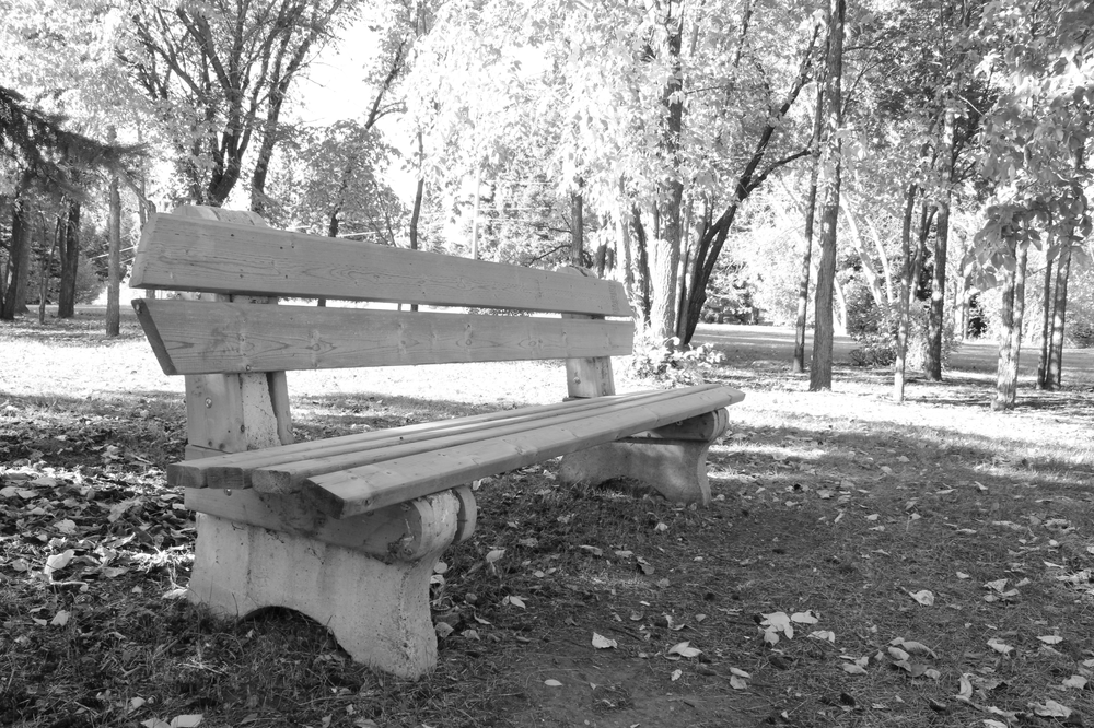 A park bench