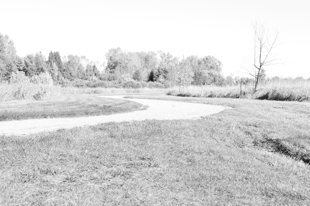 A beautiful Yorkton landscape