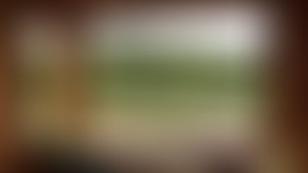 Daily Prompt ~ If I had my way ...