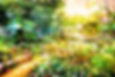 270061372_1196610877414065_2854922220752892942_n.jpeg
