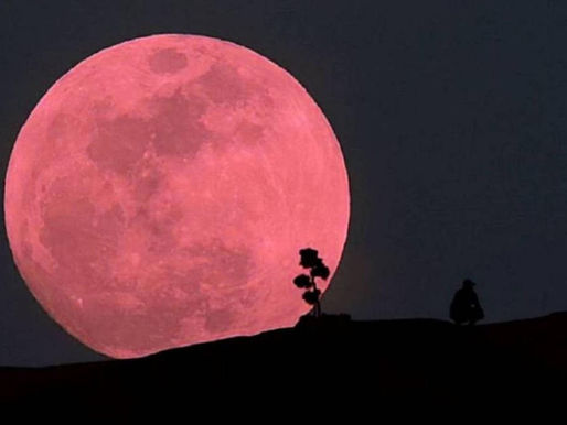 Súper Luna rosa de abril: ¿Cuándo se puede ver?