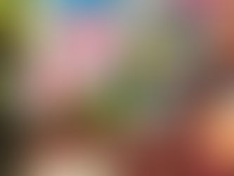 Se registra inflación de 6.05%, la más alta en 4 años