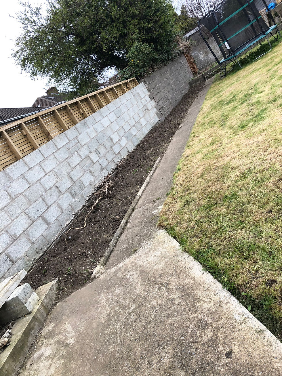 Garden transformation Clontarf