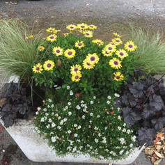 Crescent Planter.jpeg
