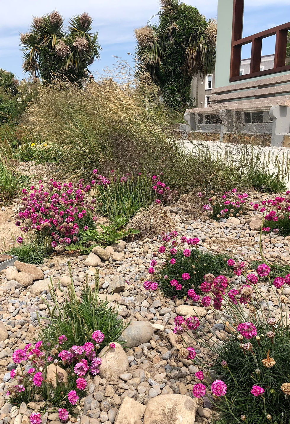 Coastal Garden, Clontarf
