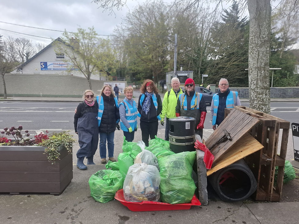 River Santry Clean-up