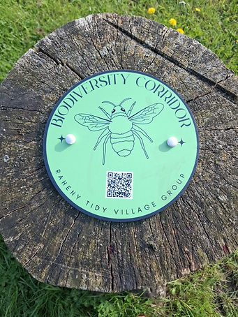 Biodiversity corridor.jpeg