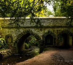 20201001-DSC_6406.jpeg