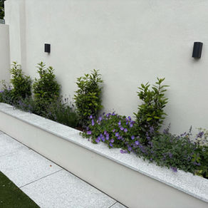 Elegant Planting Scheme for Raised bed