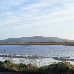 Bull Island Raheny