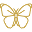 butterfly.png