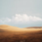 Paysage Site SOXH2026 copy.jpg