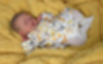 evelyn-26