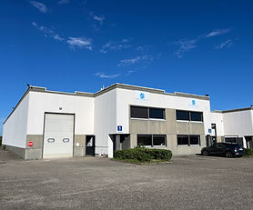 Décines - Parc Oliveriannes - Racine