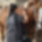 three-shires-vet-physio-gallery-4.jpg