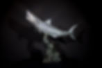 SHARK TABLE SCULPTURE