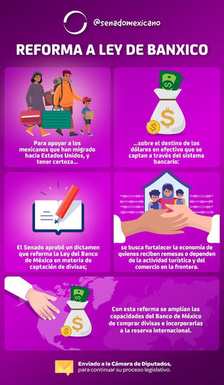 SENADO