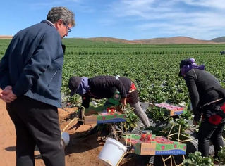 Celebra Ricardo Monreal que Senado busque condiciones para desarrollo de jóvenes del campo