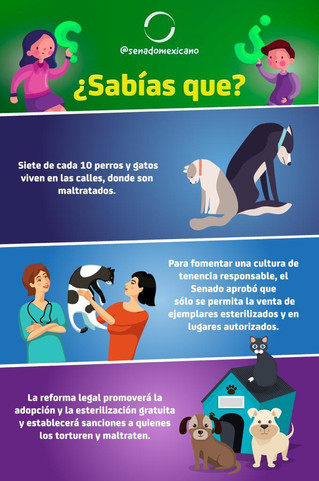 SENADO
