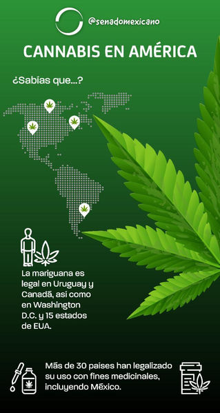 SENADO