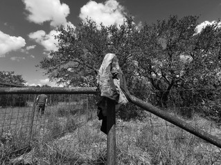 FALFURRIAS, LEVANTONES, MUERTE O DESAPARICIÓN DE MIGRANTES
