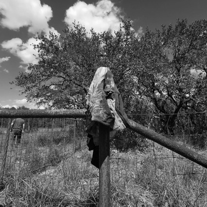 FALFURRIAS, LEVANTONES, MUERTE O DESAPARICIÓN DE MIGRANTES