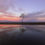 Thumbnail: The lone tree at sunset