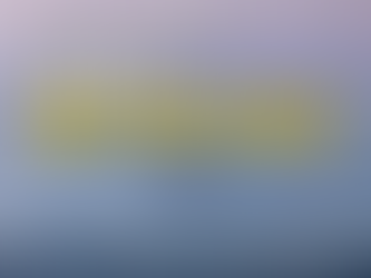 당신이 떠날 그 계절의 호주는? - 퀸즐랜드 월별 이벤트 캘린더