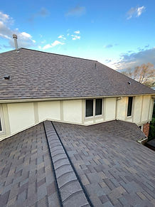 Roof Image 4.jpeg