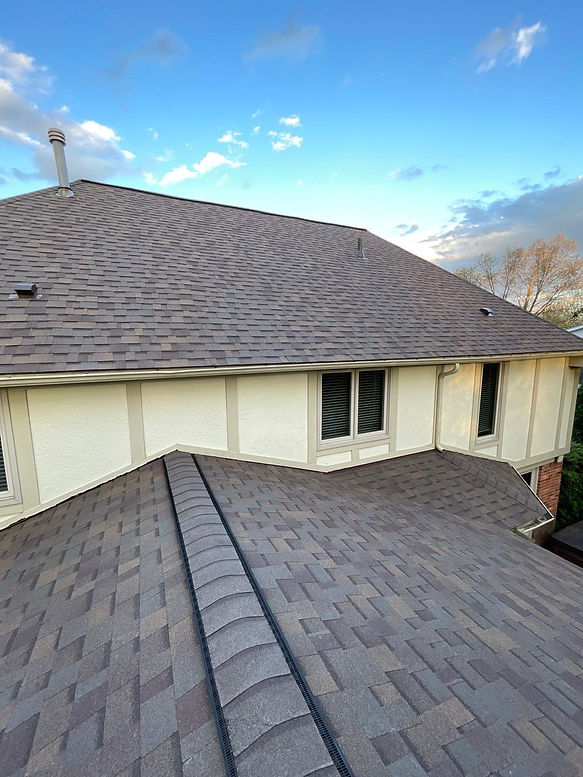 Roof Image 2