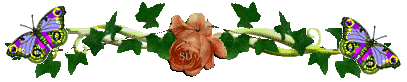 6.gif
