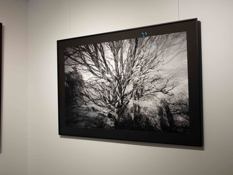 Et voici le « petit » dernier arrivé dans l'Atelier