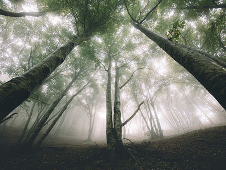 Le Plateau d'Eyzahut