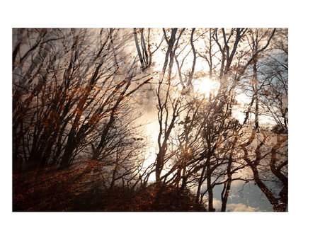 automne 202129.jpg