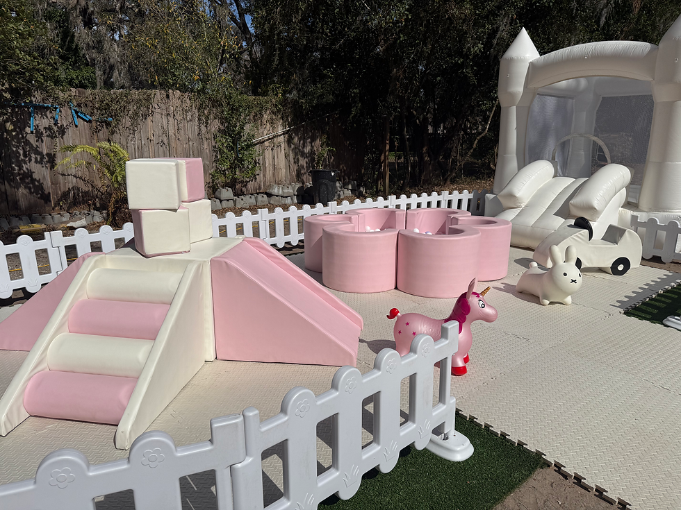 Flamingo Soft Play