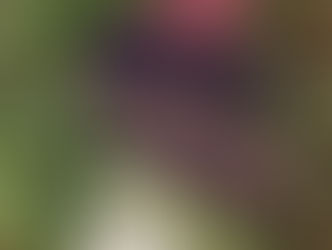 Growing Cut Flowers in Warm (Hot) Climates