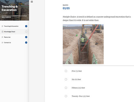 eLearning Knowledge Check 