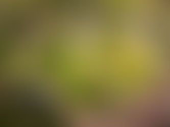 Real Weddings - Hudson Gardens, The Bloom Room, Denver Colorado